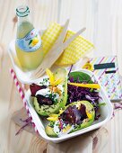 Gefüllte Avocado mit Biltong und Rotkohlsalat in Lunchbox