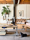 Dog lies in a carpenter's workshop