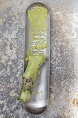 Grated wasabi with a metal grater