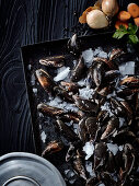 Fresh mussels on ice