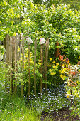 Staketenzaun aus Kastanienholz in frühsommerlichem Garten