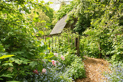 Mulched garden path leading through garden in early summer