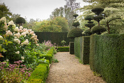 English-style topiary garden (Les Jardins de Castillon, France)