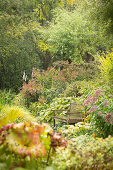 Garden bench amongst autumnal perennials (Les Jardin de Castillon, France)