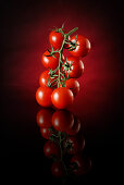 Tomaten an der Rispe vor rot-schwarzem Hintergrund