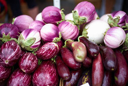 Various eggplants at a market