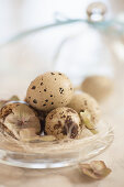 Three quail eggs and dried hydrangea flowers on glass plate