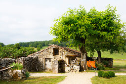 Old stone house below acacia trees