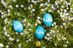 Blue eggs painted with chalkboard paint and labelled with different names lying on spring lawn