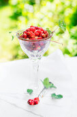Wild strawberries in a crystal glass and on an old spoon