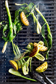 Babyfenchel, Apfel und und Frühlingszwiebeln auf dem Grill