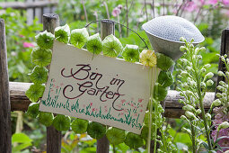 Sign framed in green physalis husks on garden fence