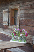 Kleine Flaschen mit Phlox, Jungfer im Grünen und Löwenmäulchen als Tischdekoration vor rustikalem Bauernhaus