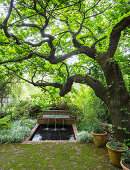 Small pond with spouts and Chinese proverb under old oak