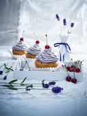 Vegan sour cherry cupcakes with lavender cream