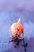 Onion covered with dirt, close-up