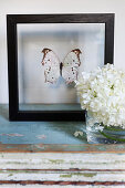 Mounted butterfly in black frame
