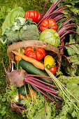 A basket of fresh vegetables in a garden