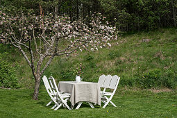 Garden table and white chairs below flowering fruit tree