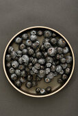Blueberries on dark background