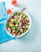 Radish, sugar snap pea and goat’s cheese salad