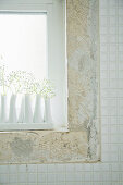 Gypsophila in white vases on windowsill