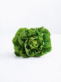 Crisp, bright-green lettuce