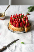 A basil cake with fresh strawberries and mint syrup