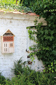 Insect hotel on ivy-covered garden wall