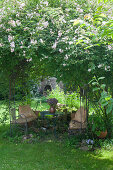 Versteckter Sitzplatz unter bewachsenem Rundbogen im Garten