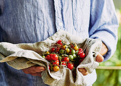 farmer holding freshly picked cherry tomatos in natural tea towel