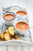 Cold tomato soup with oregano, pecorino and toasted bread