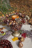 Handmade arrangement of horse chestnuts on table