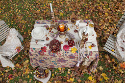 Table set for autumn and two chairs in garden