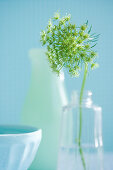 Spring flowers in a vase