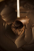 Spoon of Chocolate