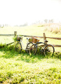 Fahrräder mit Picknickkörben an einem Holzzaun auf der Wiese