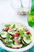 Gemischter Salat mit Gurken, Kirschtomaten, Chinakohl, rote Zwiebeln, Feta und Minze