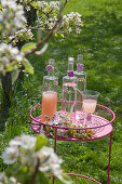 Bottles of soft drinks and delicate cherry blossom on round side table in garden