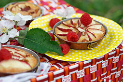 Kleine Apfelkuchen mit Himbeeren fürs sommerliche Picknick