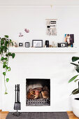 Fireplace with fireplace dishes, house plants, photos, camera and decorative objects on mantelpiece