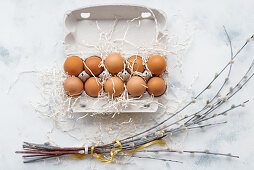 Eggs in an egg carton and bunches of catkins