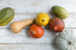 Various pumpkins on a white wooden background
