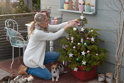 Nordmanntanne mit Sternen und Kugeln als Weihnachtsbaum