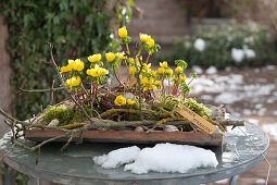 Winter warmers on a patio table as a harbinger of spring