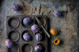 Pflaumen (Sorte: Bleue de Belgique) auf Vintage Muffinblech