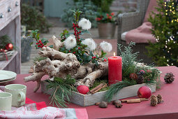 Weihnachtliche Dekoration mit Wurzel in Holz-Kasten