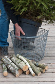 Christmas tree in the basket with birch stems