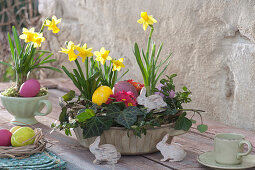 Easter Cup With Daffodils And Primroses