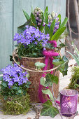 Spring arrangement with bluebells and hyacinths